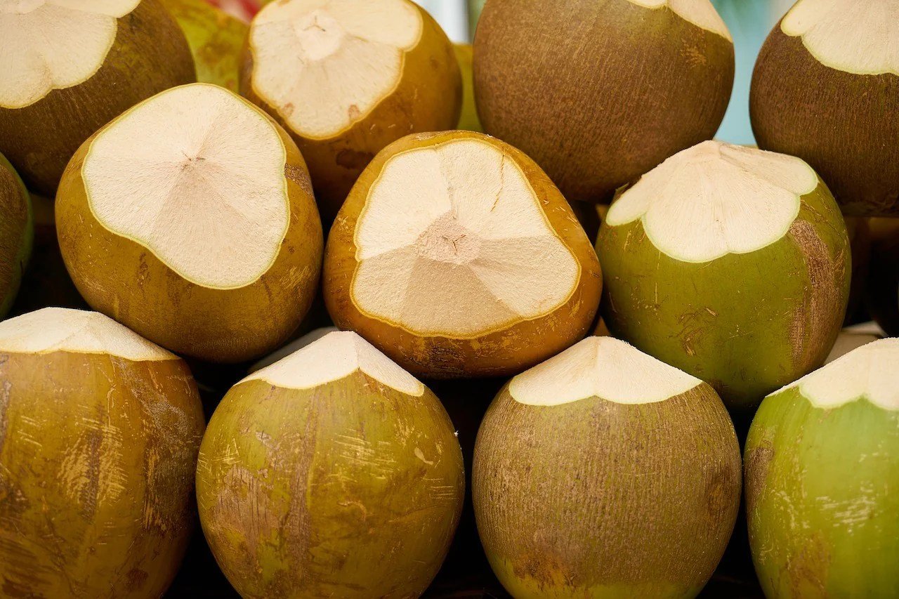 Coconut coconuts