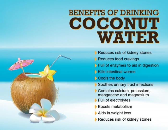 Coconut dairy naturalnews