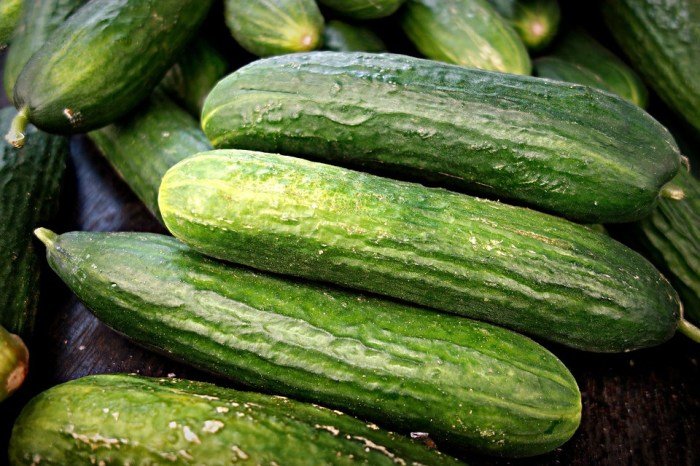 Cucumber fruit vegetable