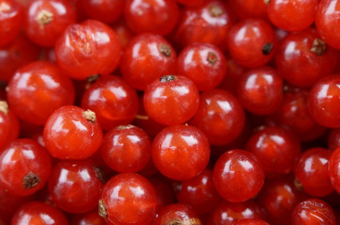 Buah pucuk merah