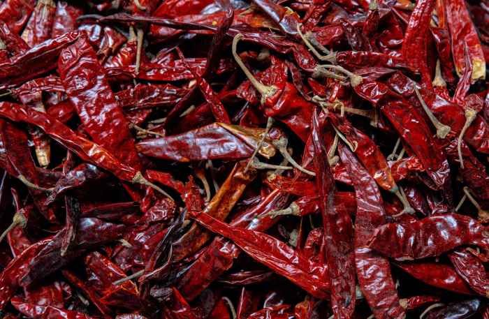 Chili peppers chilis ernten ausgeizen nachreifen paprika gartenlexikon selbstversorger richtig anleitung