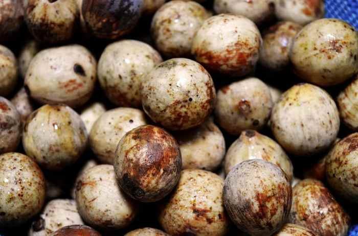 Duku fruit facts