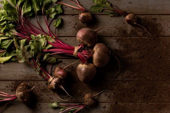 Beet spring goes cooks borshch shoots leaves beets eremeeva mt jennifer themoscowtimes