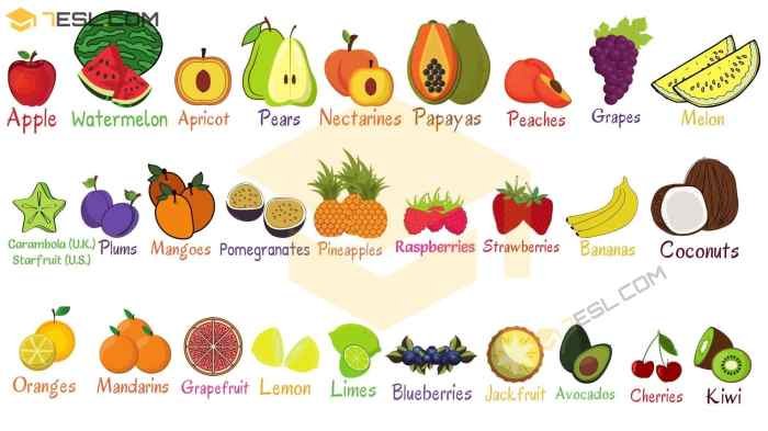 Fruits myenglishtutors example tutors litchi