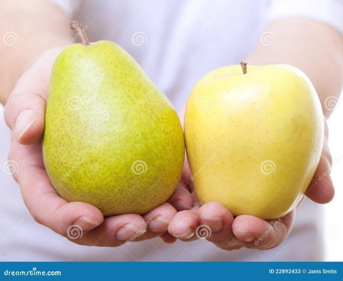 Hand holding bowl fruits stock organic