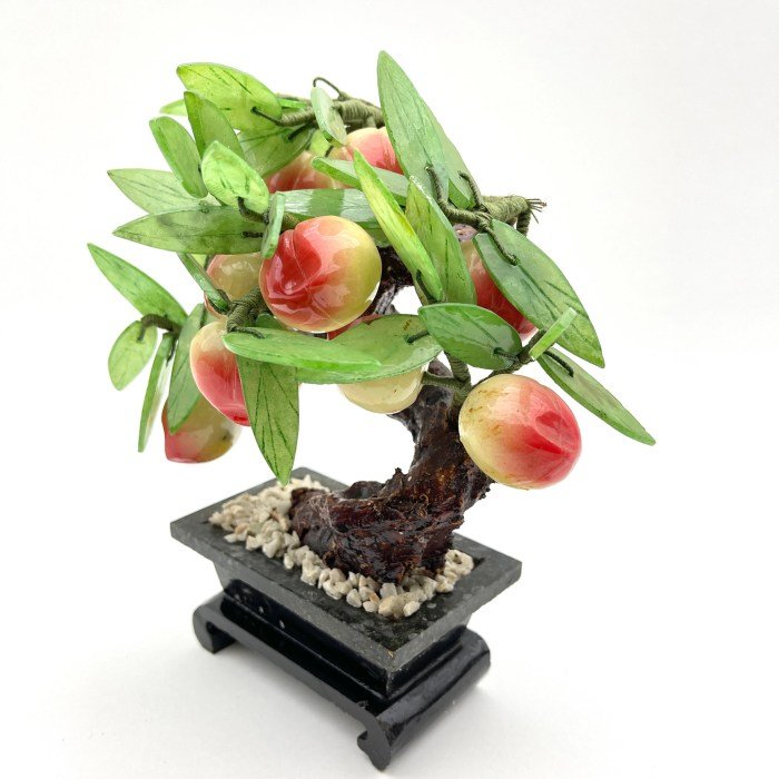 Bonsai pflanzen