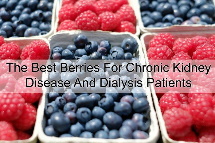 Disease renal kidneys smoothies dialysis eat juices turmeric problems