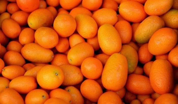 Benefits kumquat health food