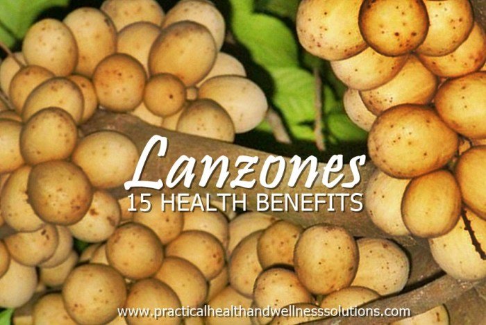 Lanzones fruit benefits