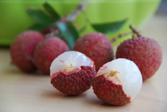 Lychee nut alligator