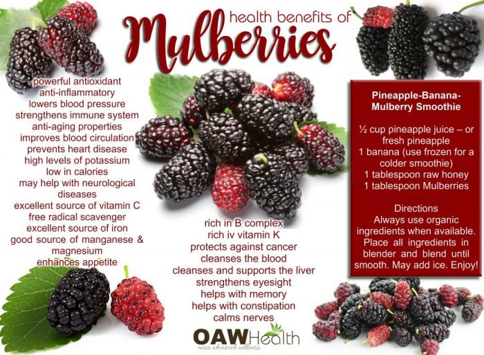 Mulberry fruit benefits mulberries nutrition health nutritionadvance facts