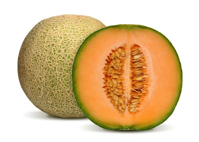 Cantaloupe perfect handling picking guide