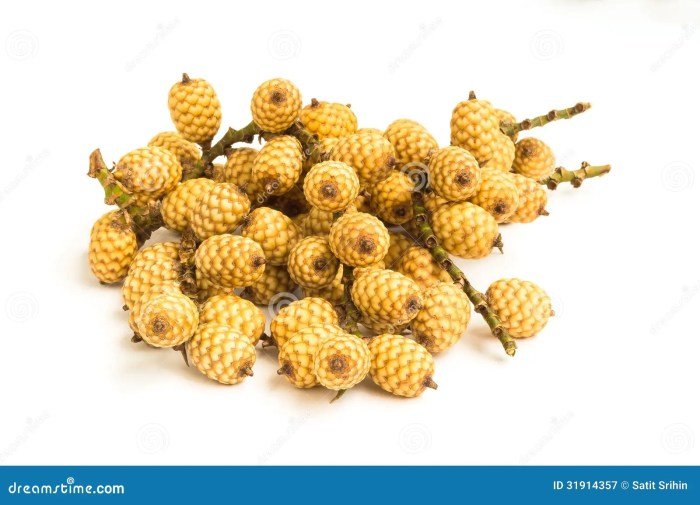 Rattan fruit