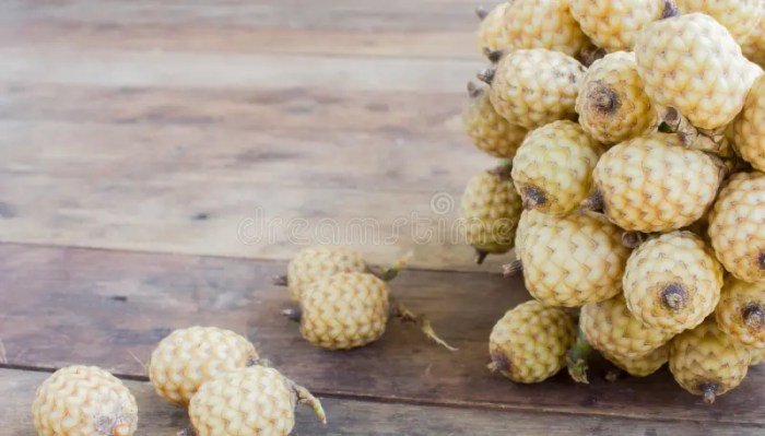 Rattan fruit fruits amazing everythingaboutgarden saved