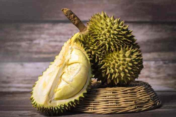 Durian monthong tree fruit benefits red comes healthy around health eating