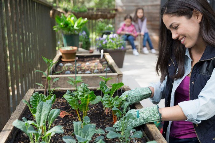 Veggies mothers haven