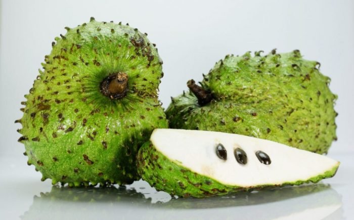 Soursop leaves tree fruit fruits annona muricata benefits effects side figure flowers good