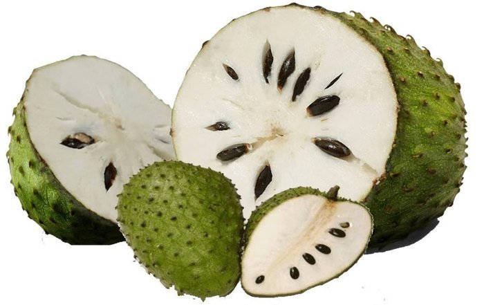 Soursop fruit tree health benefits leaves custard apple weird eating start healthfitnessrevolution