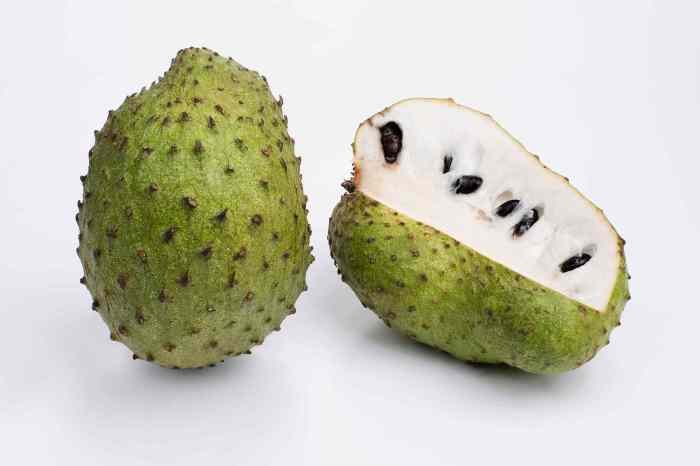 Soursop guyabano fruit nutritional value benefits philippines findabusinessthat livestrong getty asian market article