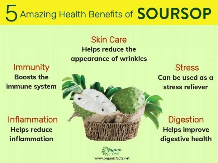 Soursop benefits fruit juice health vitamin contains rich also