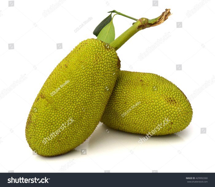 Jackfruit ripe