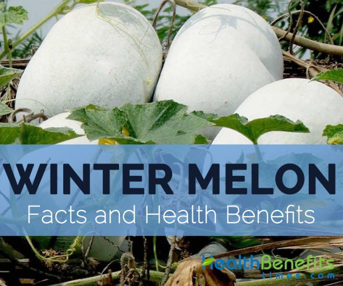 Melon winter