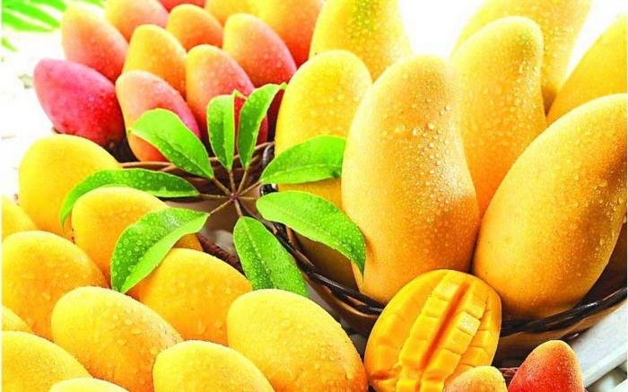 Mango fruit wallpapers wallpaper